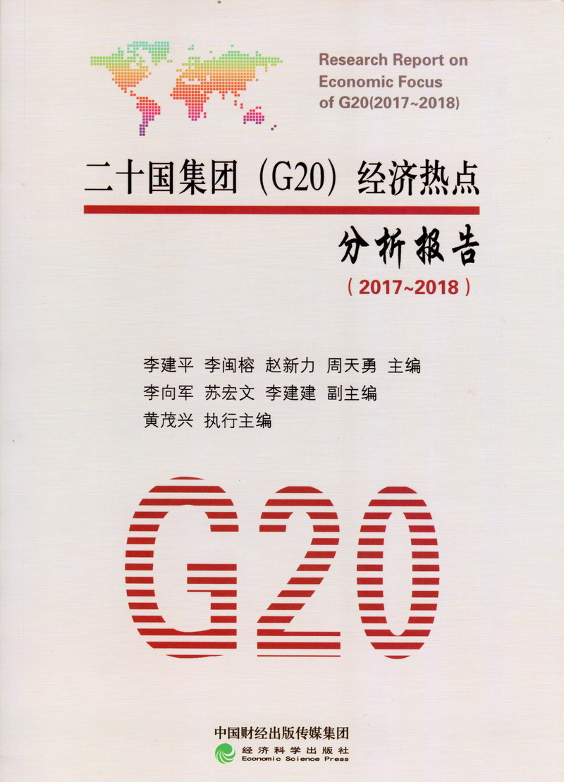 操女人的也逼视频二十国集团（G20）经济热点分析报告（2017-2018）