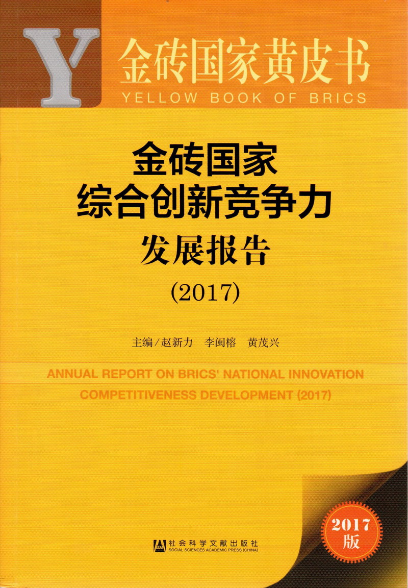 黄色免费看操逼视频金砖国家综合创新竞争力发展报告（2017）